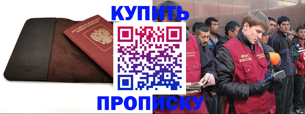 временная прописка в Бабаево